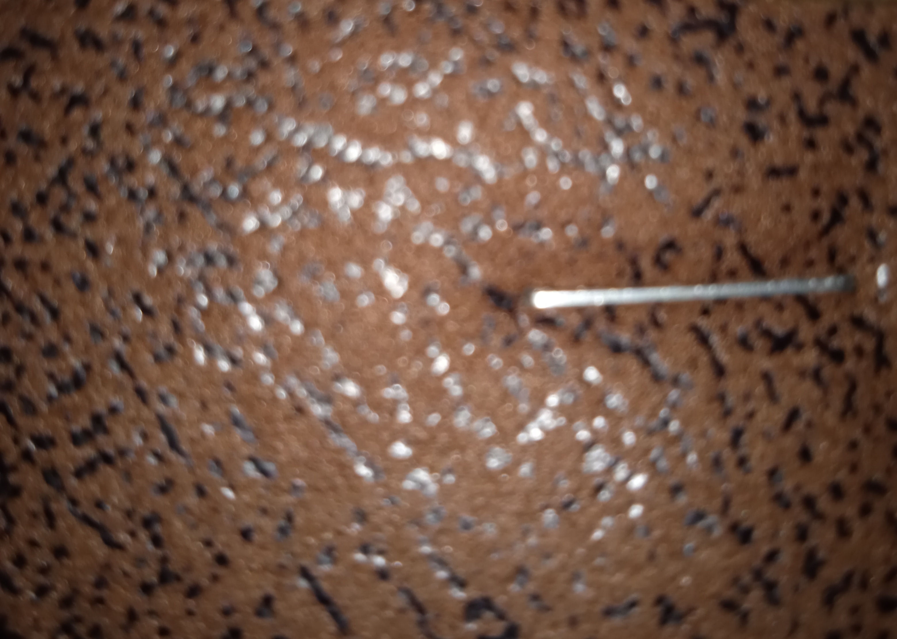 Polipiel Carmelita Aspeado Rojiso