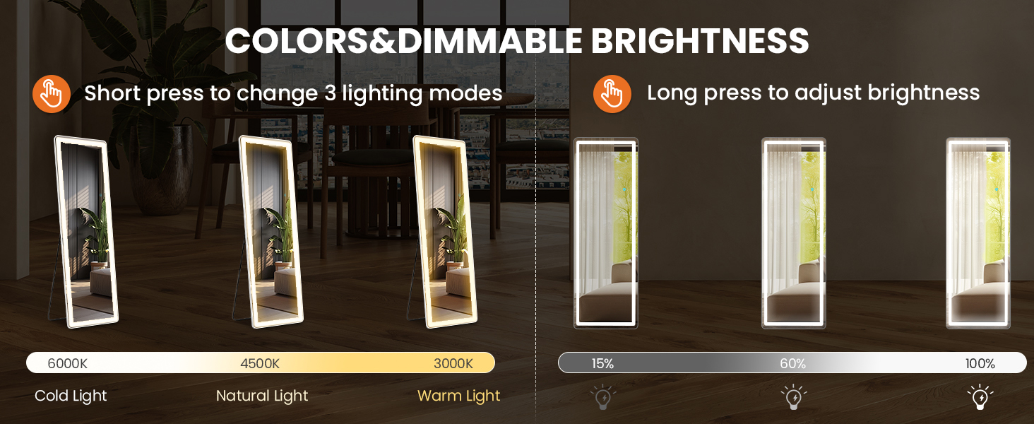 Simple Deluxe Espejo de longitud completa de 64 x 21 pulgadas con luces LED