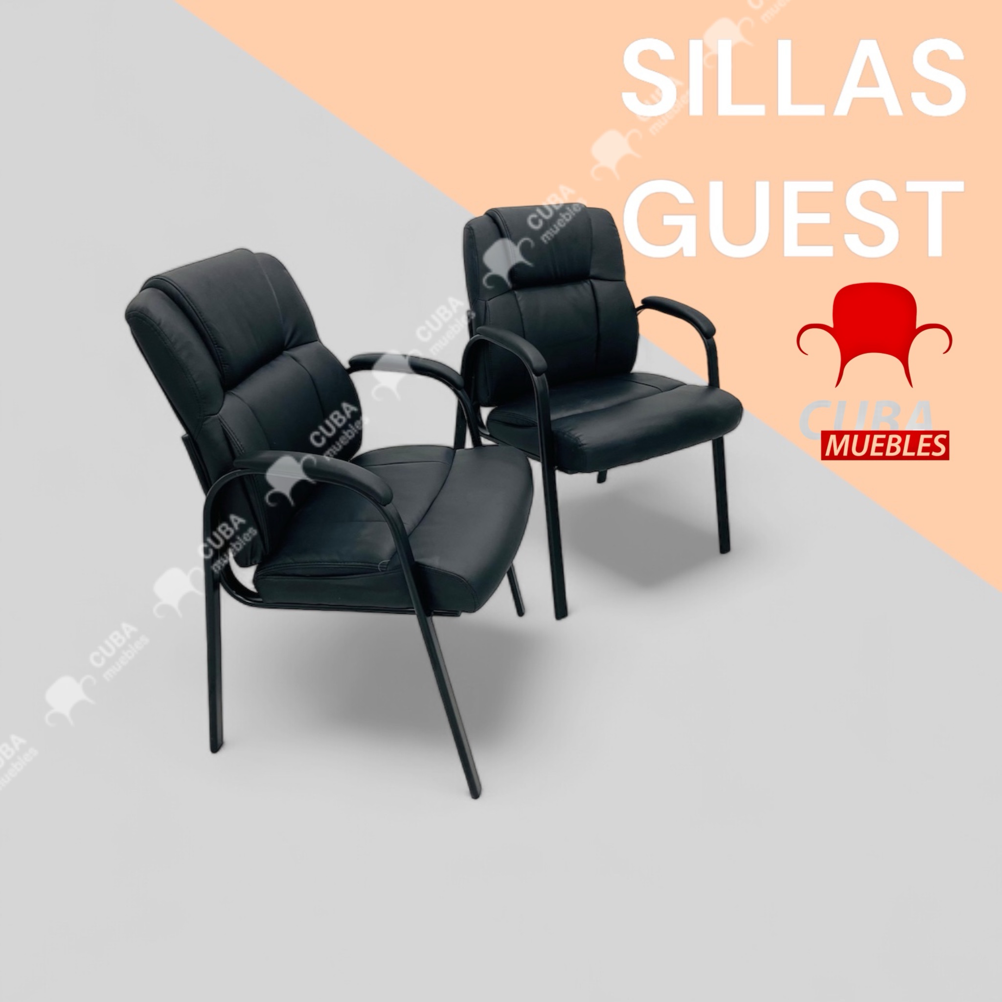 Set de 2 Sillas GUEST