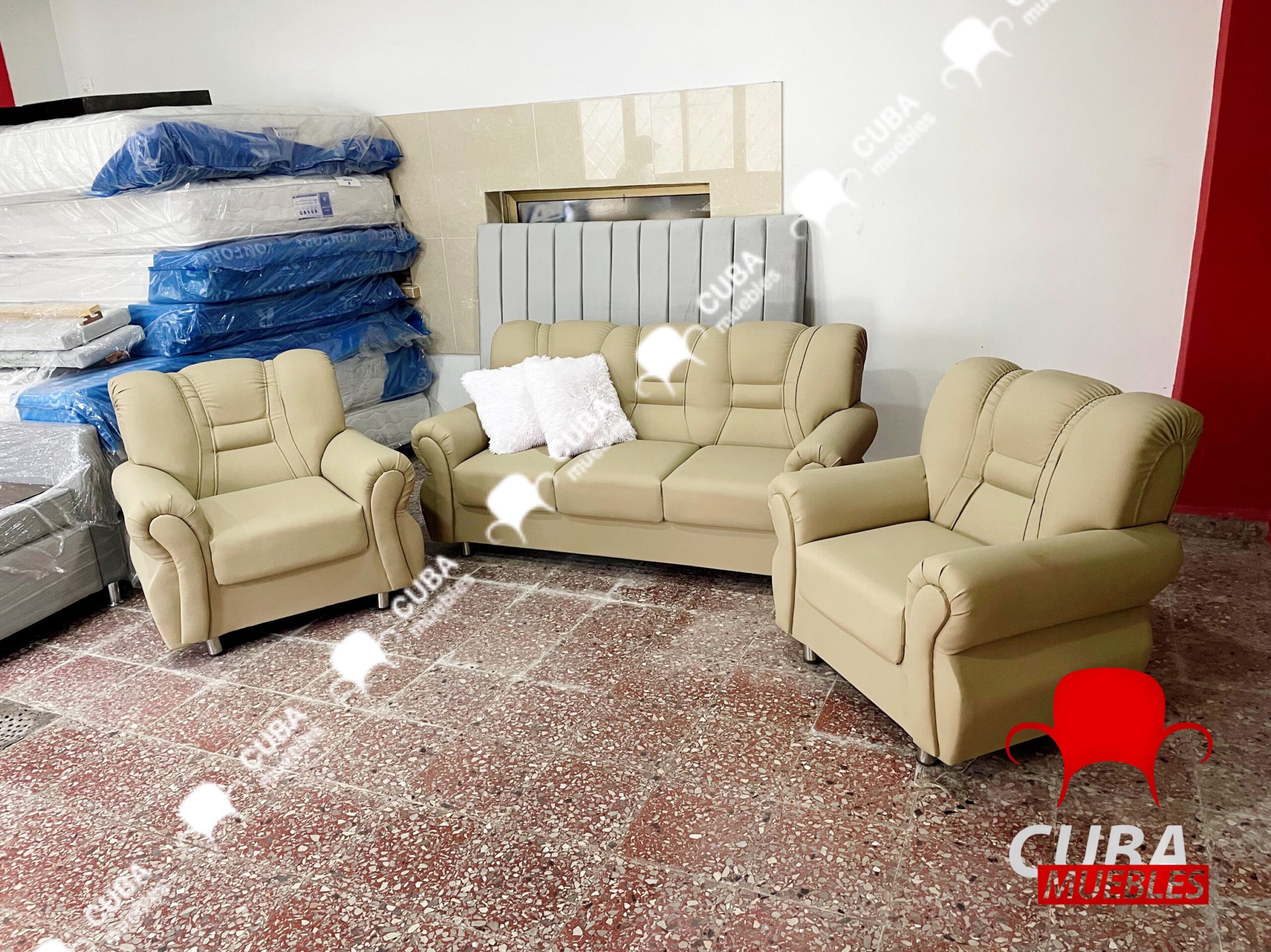 Brasileño Mini Disponible