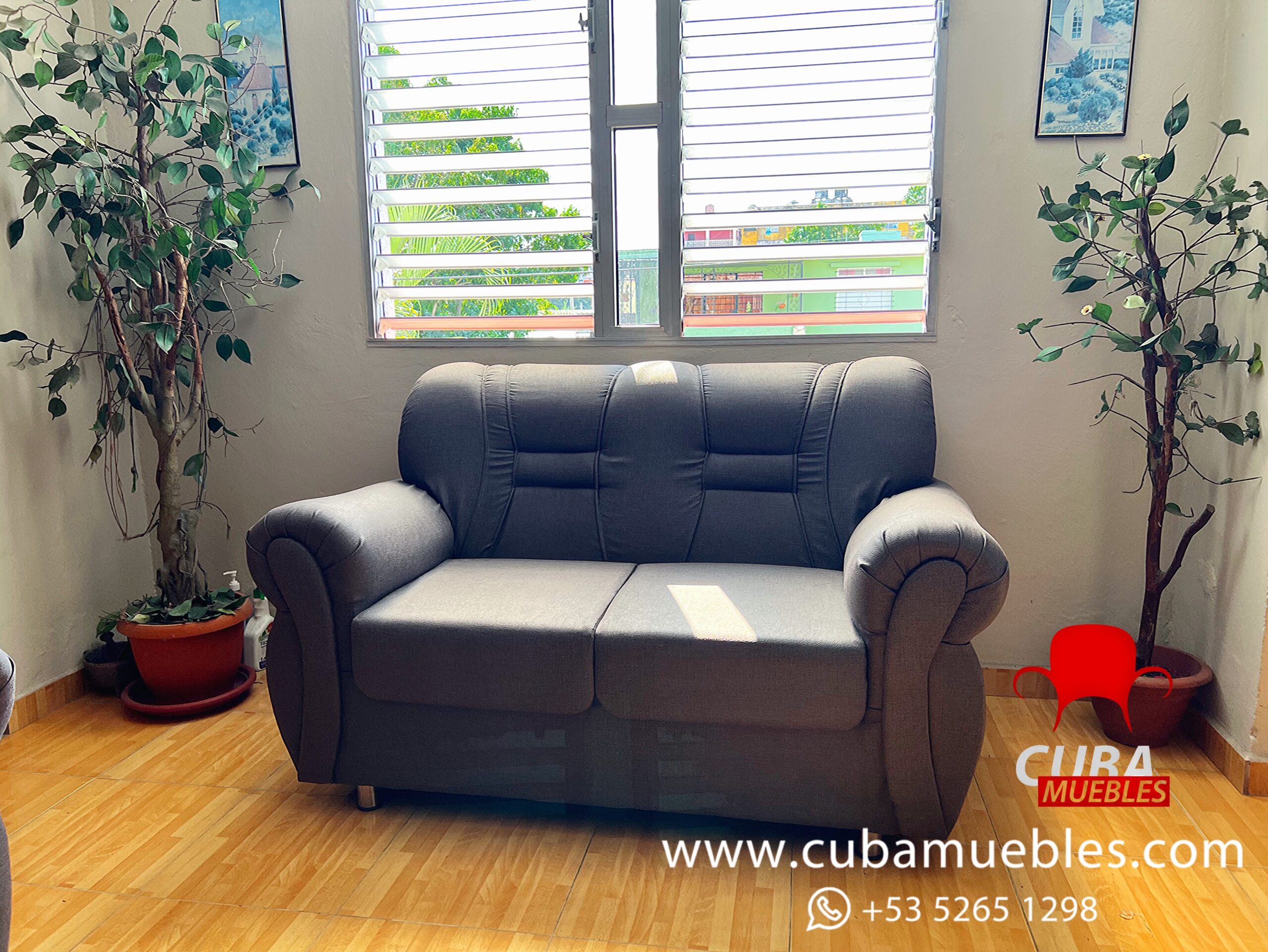 Brasileño Moderno Sofá 3 y 2