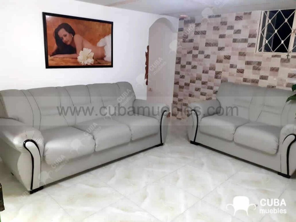 Brasileño Moderno en Gris sofa de 3 y sofa de 2