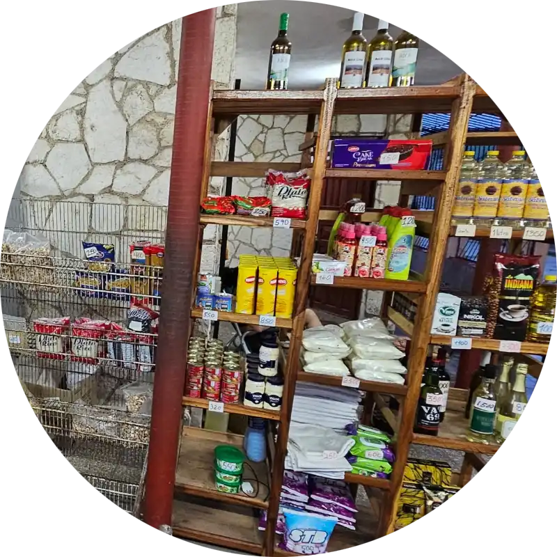 Animal Nocturno Cárdenas