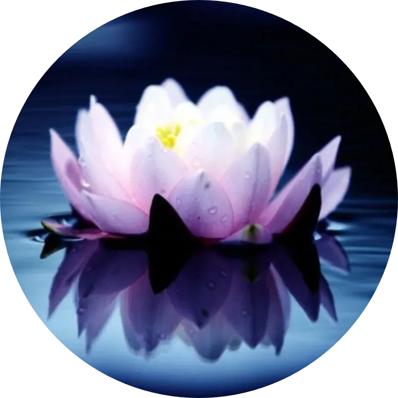 Bazar Holístico Dahara