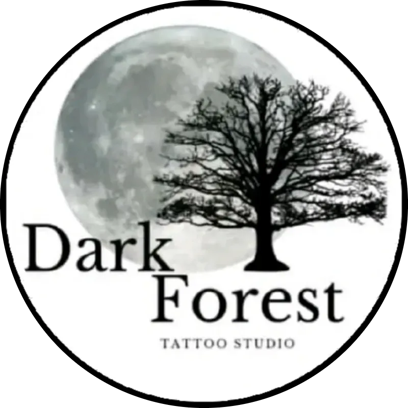 Dark Forest Tattoo Studio