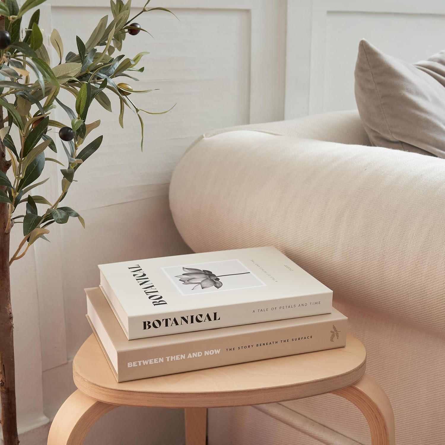 ZICOTO Hermosos Libros Decorativos – Juego de 2 cajas que mejoran la decoración de tu mesa de centro, estantería o repisa de chimenea – Libros estéticos falsos/de imitación para decoración moderna del